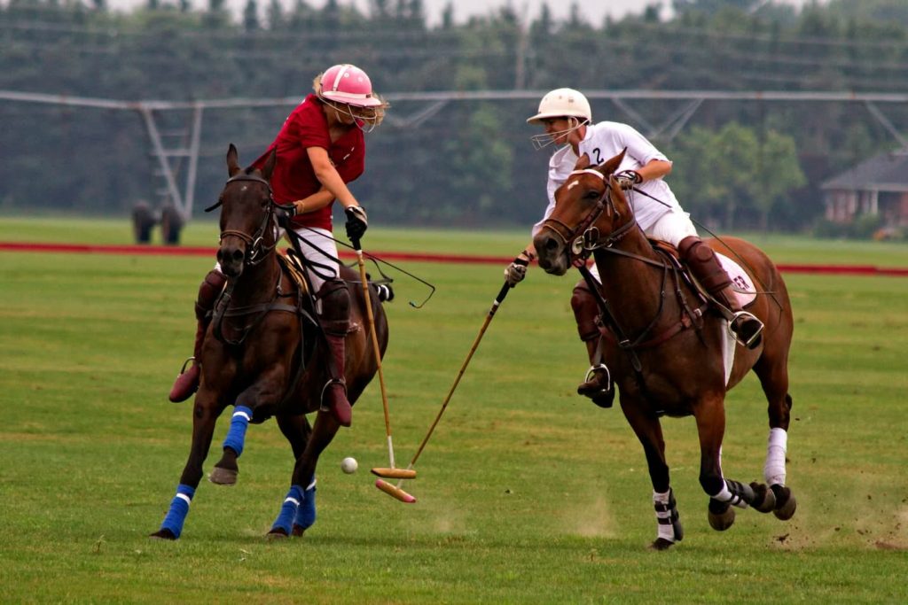 Reliable betting sites like 22Bet